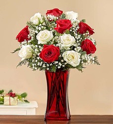 Merry & Bright Rose Bouquet Davenport Florist - Same Day Flower Delivery - Flower Power 